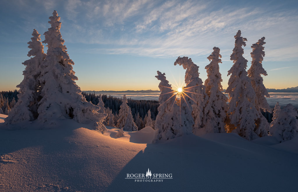 Winterlandschaft im Jura Schweiz mit verschneiten Bäumen bei Sonnenaufgang.