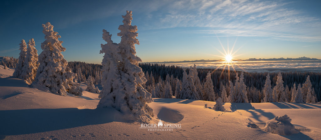 Winterlandschaft im Jura Schweiz mit verschneiten Bäumen bei Sonnenaufgang.