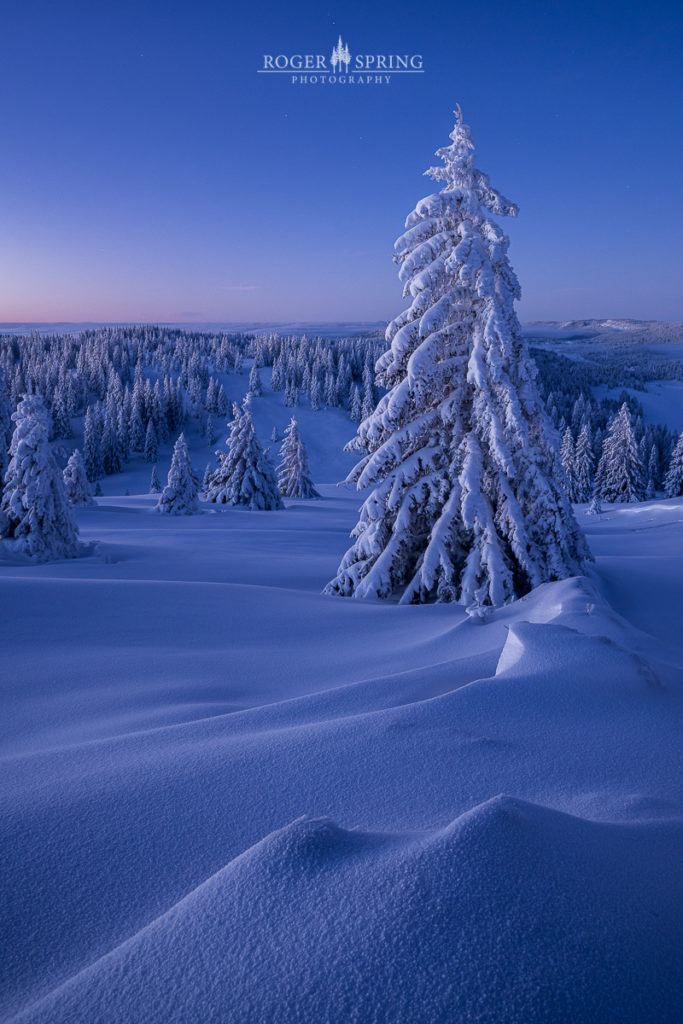 Winterlandschaft im Jura Schweiz mit verschneiten Bäumen bei Sonnenaufgang.