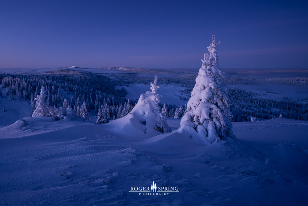 Winterlandschaft im Jura Schweiz mit verschneiten Bäumen bei Sonnenaufgang.