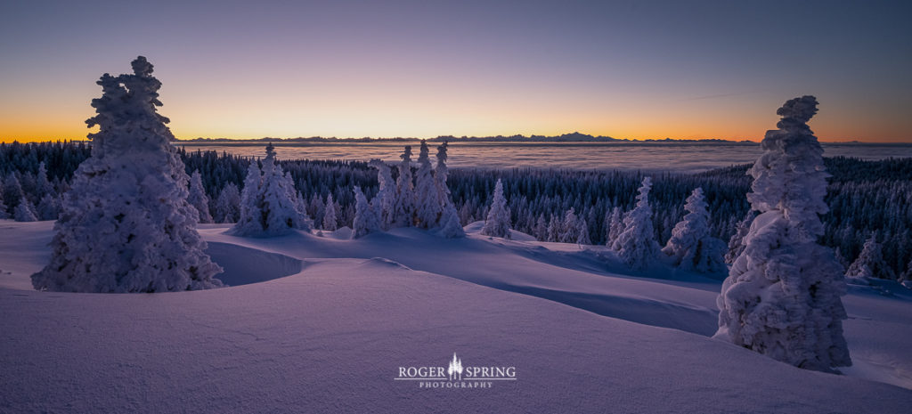 Winterlandschaft im Jura Schweiz mit verschneiten Bäumen bei Sonnenaufgang.